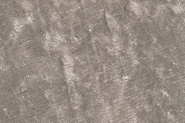 Velvet Silver